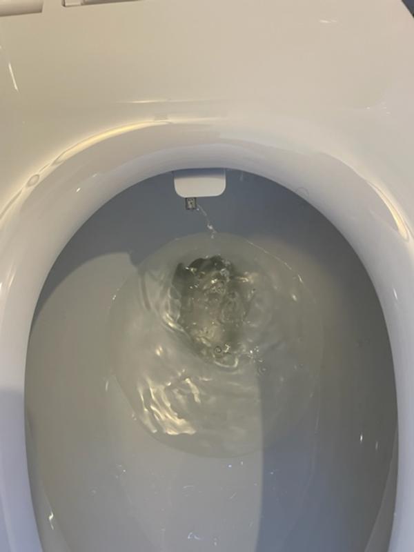 "cleansing" mode not working while Bidet mode does.