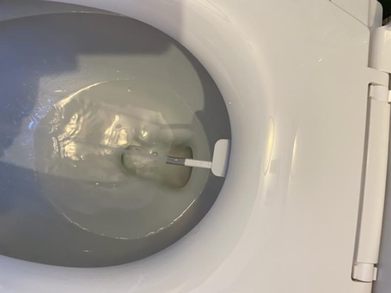 "Bidet" mode works, but "cleansing" does not