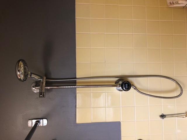 Spectra water filter shower rail