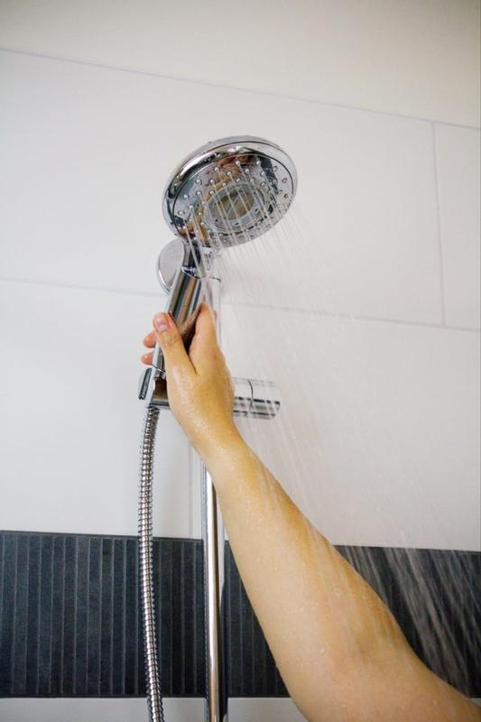 Spectra Filtered 4-Spray Hand Shower System