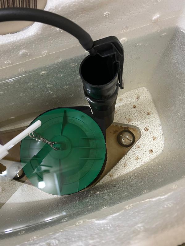 Flapper stop working!!