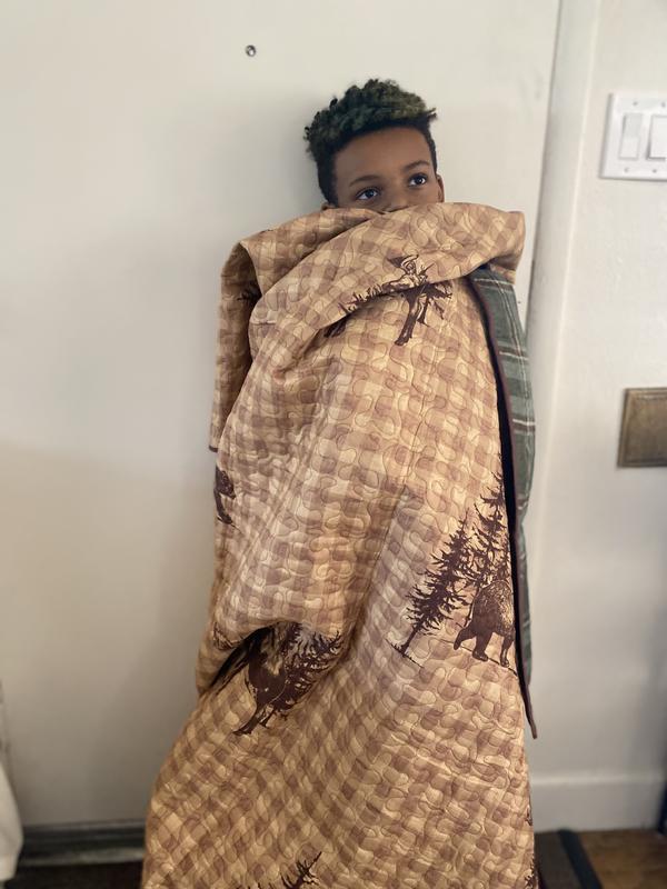 Grandson loves this print!