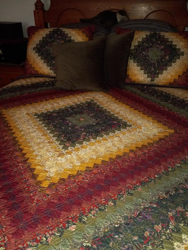 This photo was taken with phone camera flash.