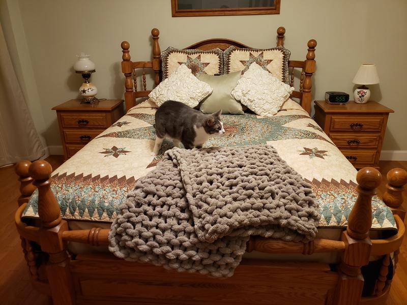 Sea Breeze Star Quilt with 3 accent pillows (Donna Sharp also) along with Chenille throw. Cat not included!