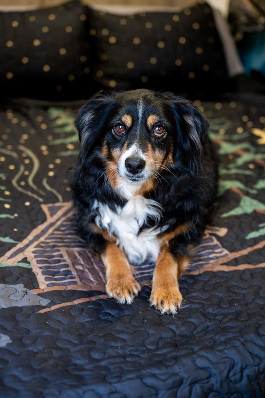 Piper and her new comforter for camping!