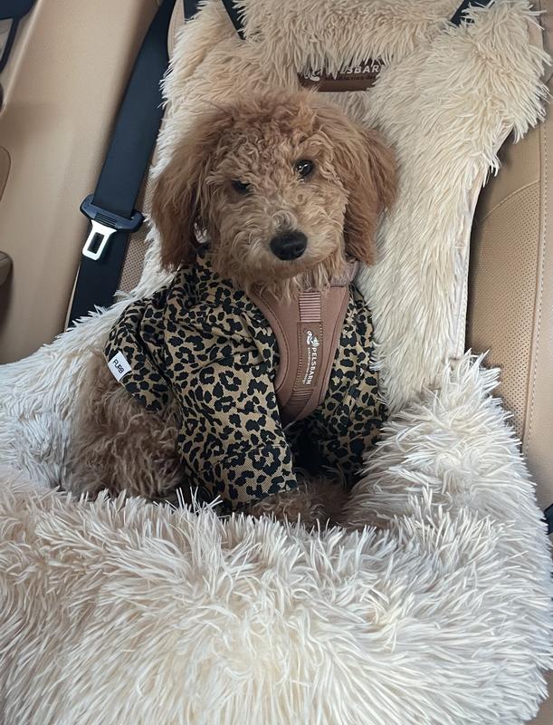 FURB Ozzie Leopard Denim Pet Jacket | AnthroHome