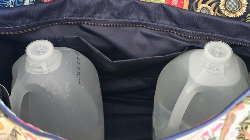 Agua Bendita Ace Tote | Anthropologie