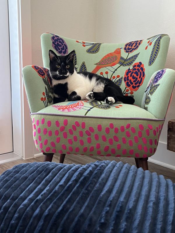 Anthropologie  アクセントチェア　イス Anthropologie アクセントチェア イス