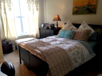 Luisa Embroidered Duvet Anthropologie