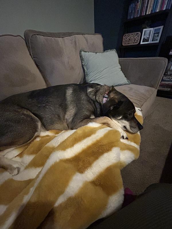 Sophie Faux Fur Throw Blanket