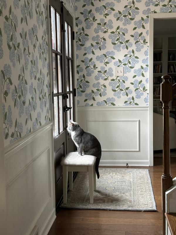 Rifle Paper Co. Hydrangea Floral Wallpaper | AnthroHome