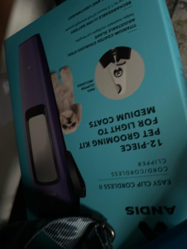 Review photo 4.