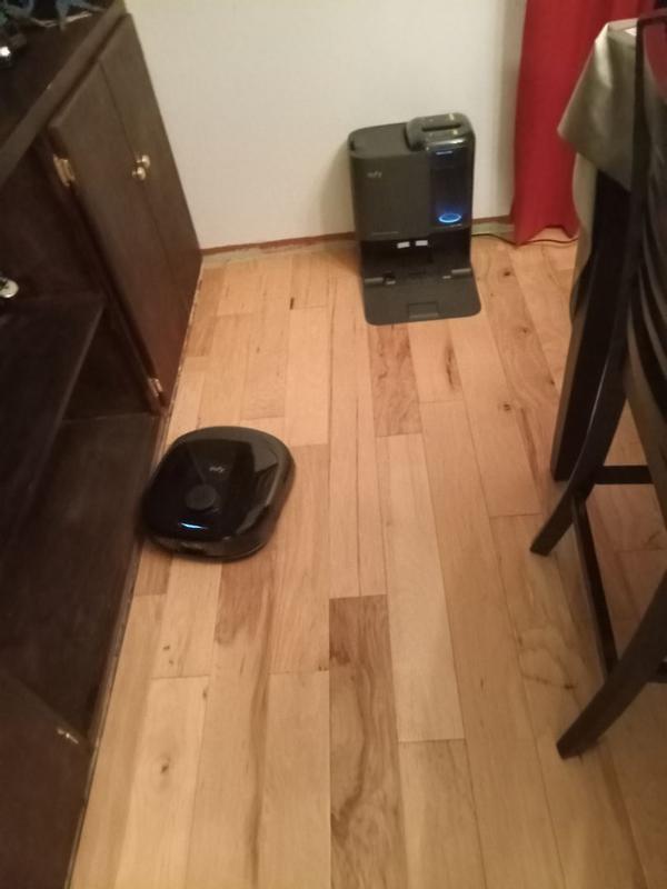 Photo from angiew100_4539