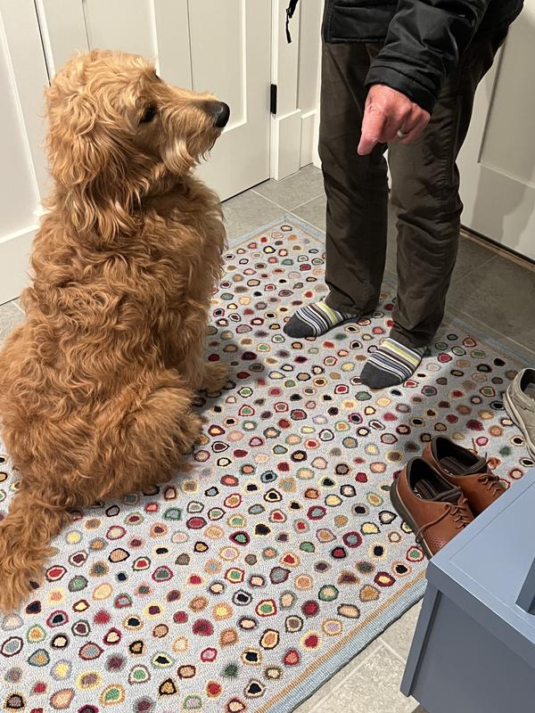 Rug is great for our dog Charlie!