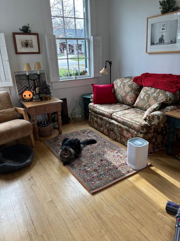 Customer carousel item 1.