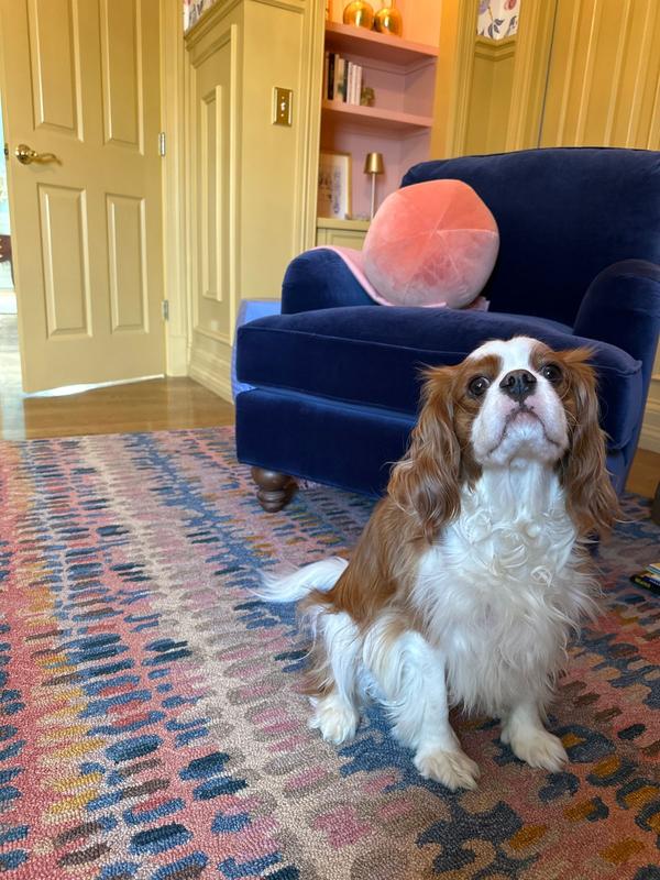 Customer carousel item 7.