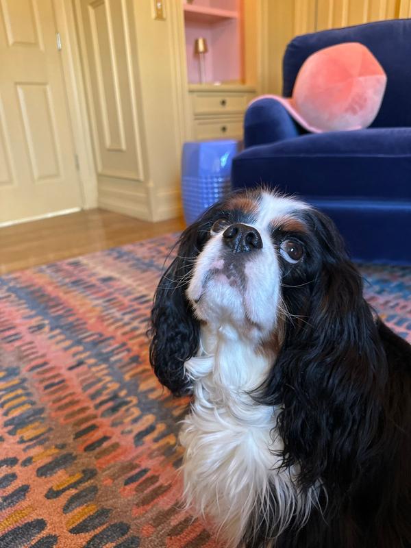 Customer carousel item 6.