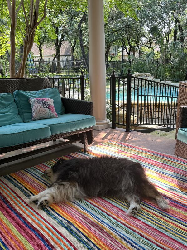 Pet approved!