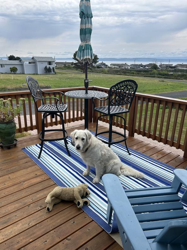 Customer carousel item 3.