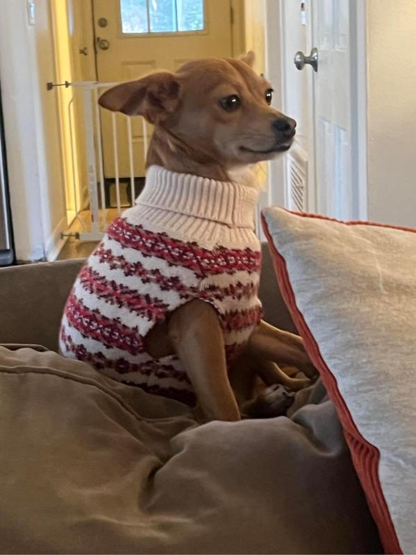 Fair Isle Dog Sweater