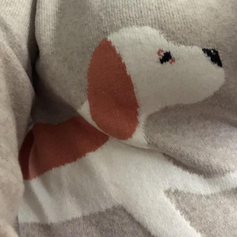 Dog Walk Sweater