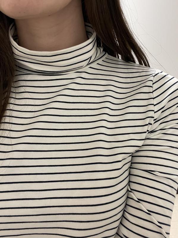 Striped Turtleneck Top