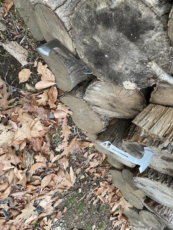 Photo - commentaire 3.