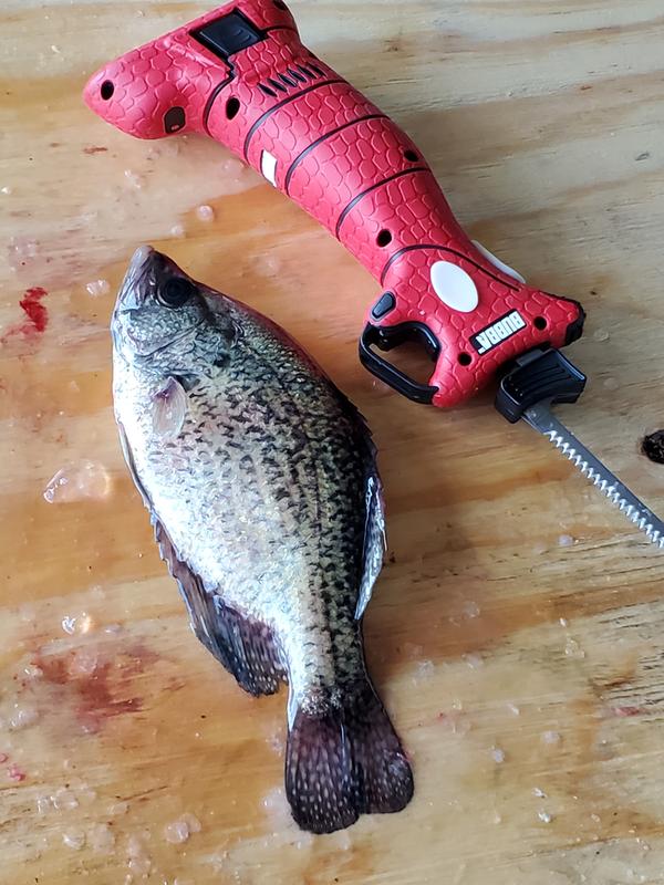 Battery powered Bubba electric knife - Texas Fishing Forum