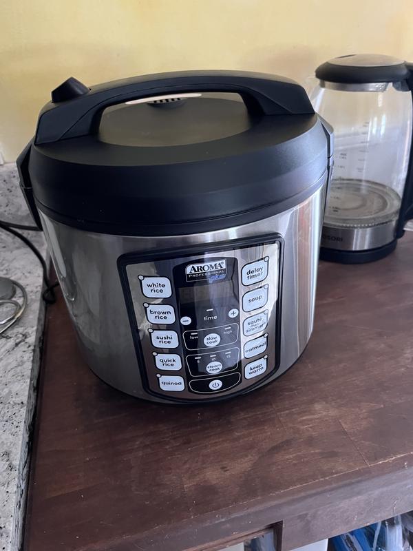 20-Cup (Cooked) Digital Rice Cooker with Glass Lid – Everlastly
