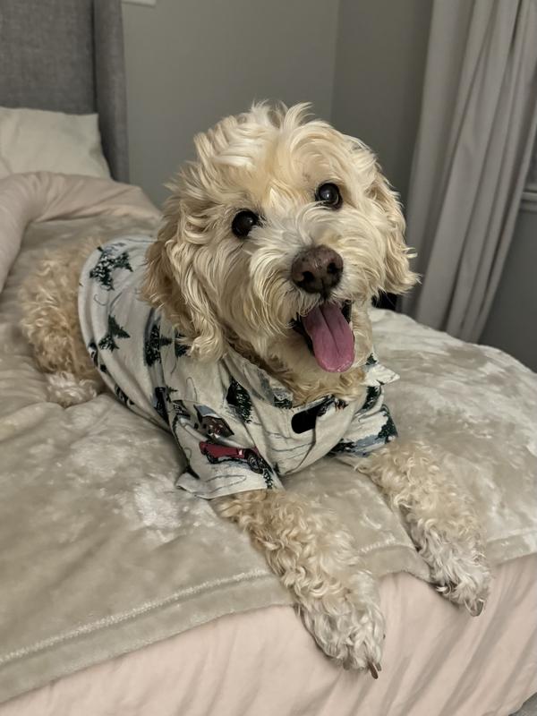 A&F Pet Flannel