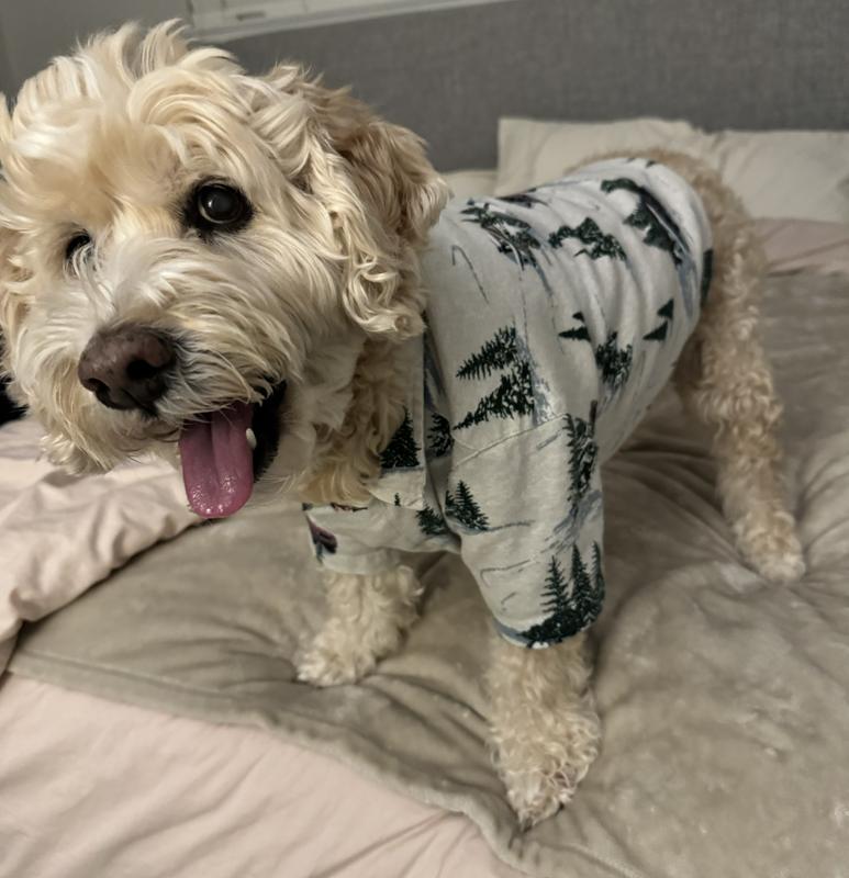 A&F Pet Flannel