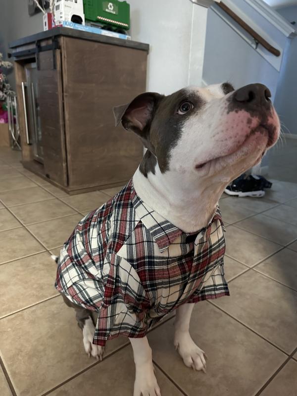 A&F Pet Flannel