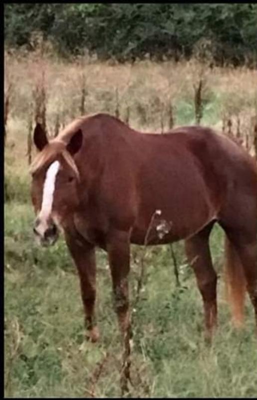 That's my Best Friend !