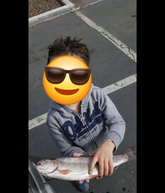 Kid Casters No Tangle Rod and Reel Combo | Academy