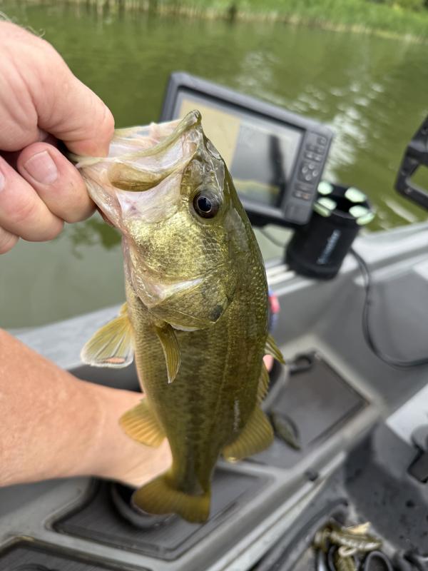 Lew's Laser TXS Baitcast Combo | Academy