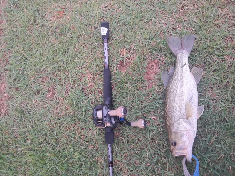 Abu Garcia Vengeance Casting Rod | Academy