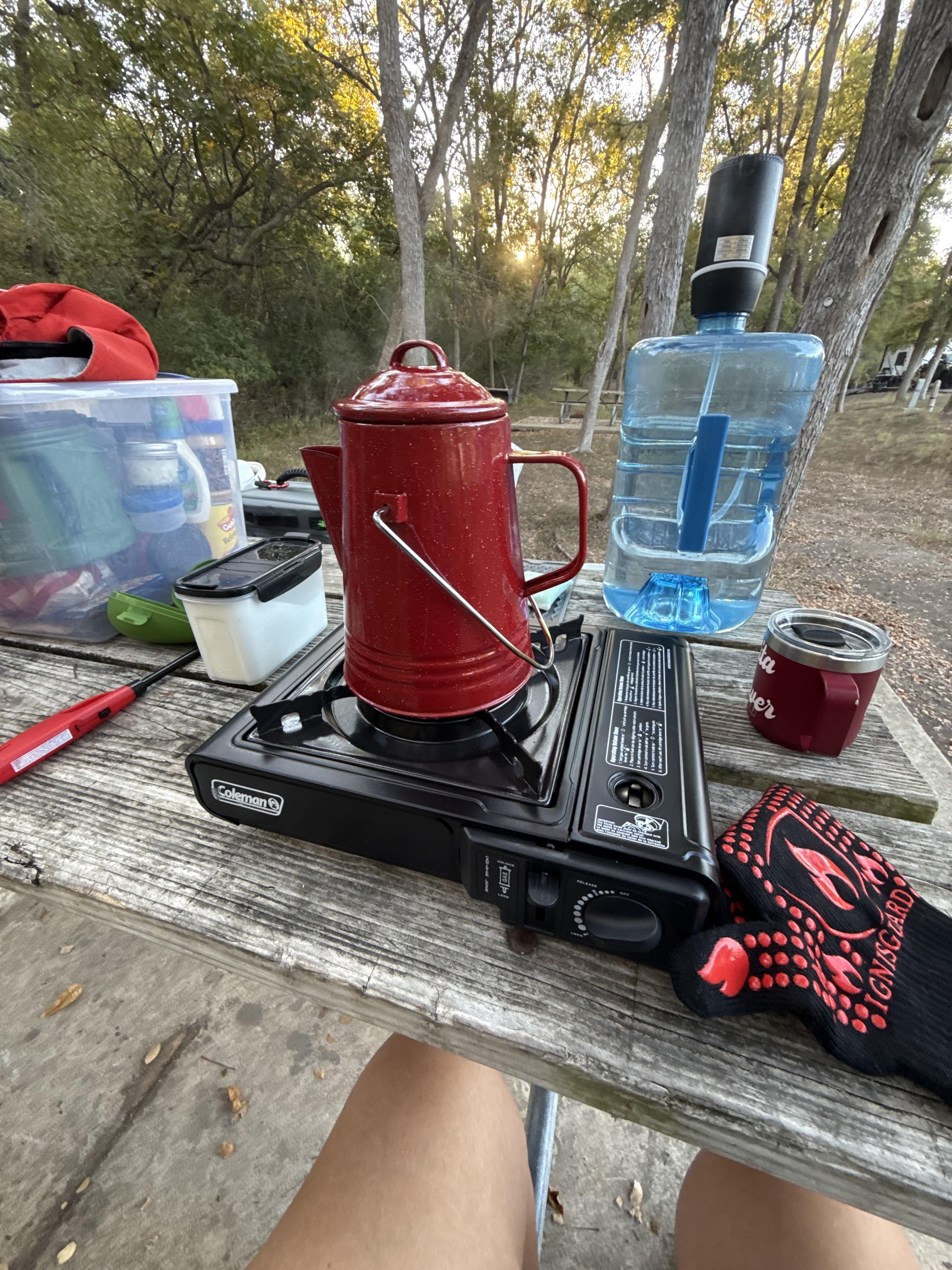 Coleman® Butane Fuel Cylinder | Academy