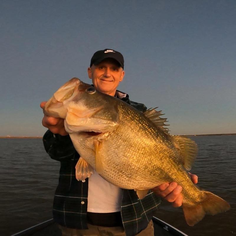 Shimano Curado 200 Baitcast Reel | Free Shipping at Academy