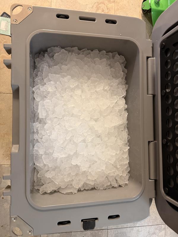 Magellan Outdoors 35 Quart Ice Box | Academy