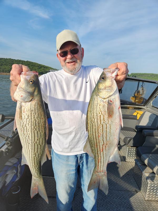 collectors weekly fishing lures The Fun and Artistry of Antique Fishing Lures