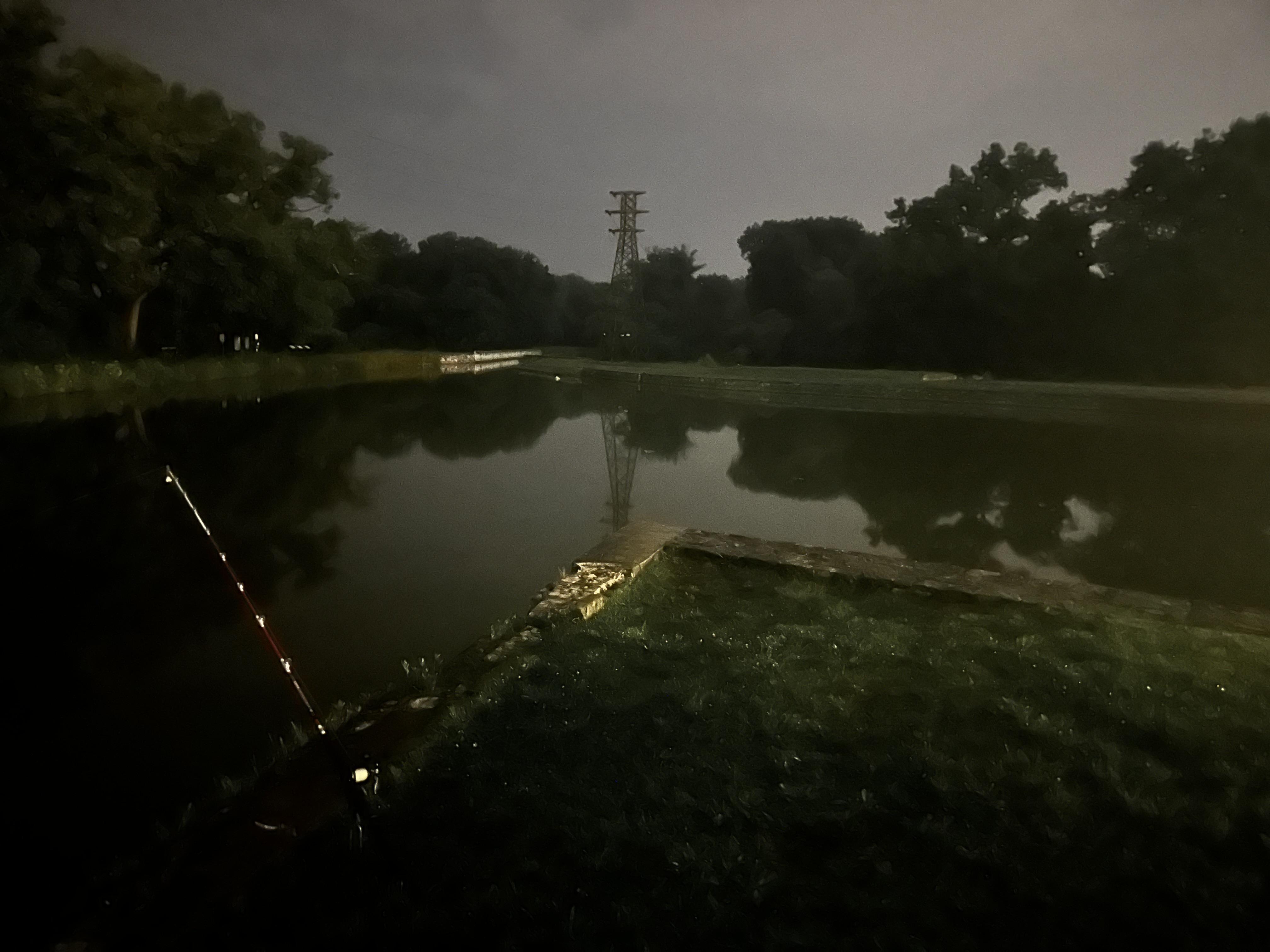 B 'n' M Silver Cat Elite 7 ft 6 in M Fishing Rod | Academy