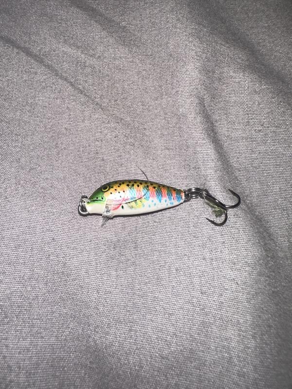 Rapala Countdown 1" Fishing Lure | Academy