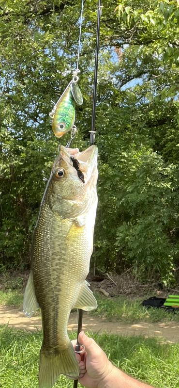 8 foot trout fishing pole What's the Right Length for a Trout Rod?