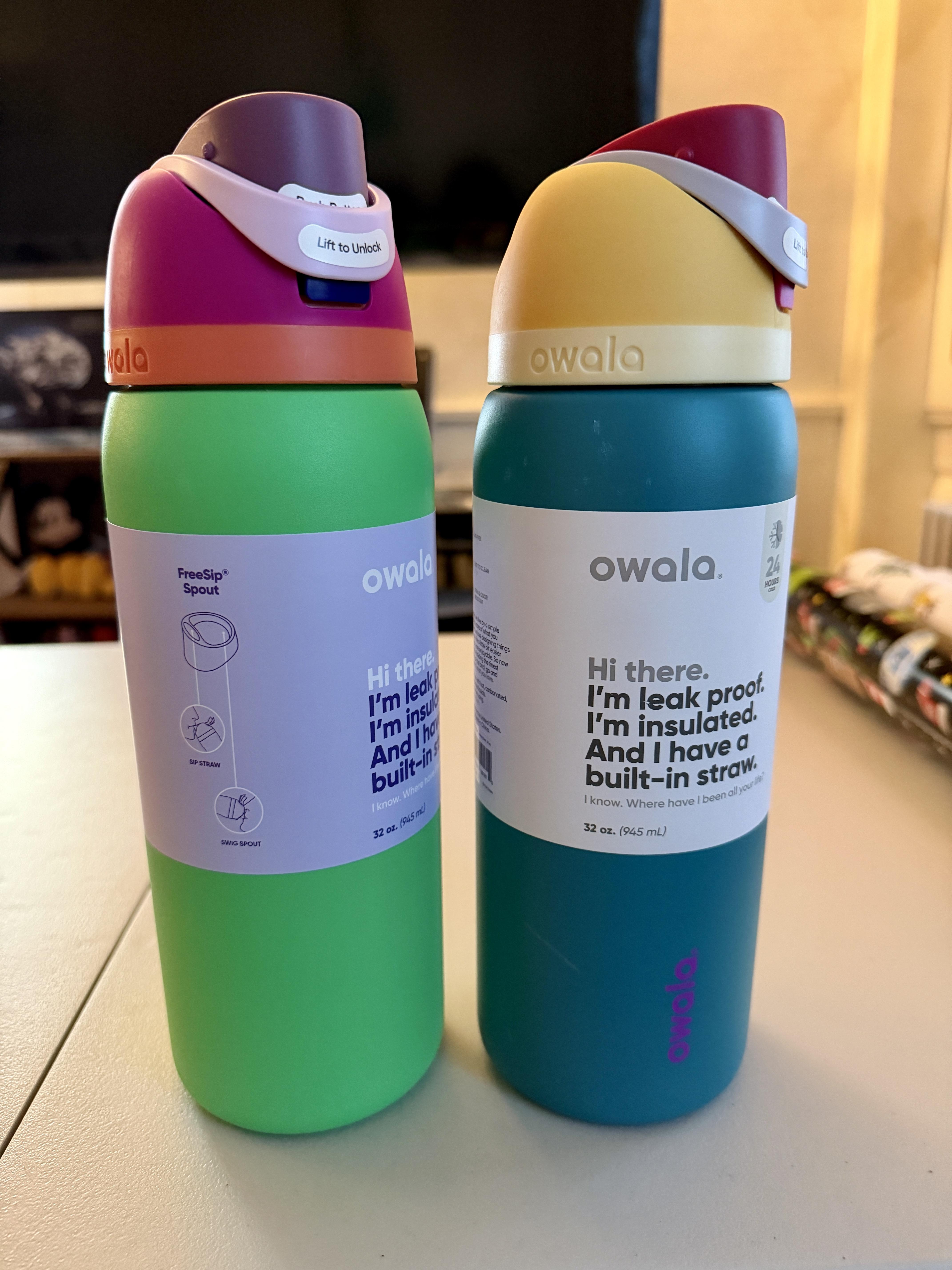 Owala FreeSip Stainless Steel Water Bottle - 32oz, Insulated, Black, With  Straw