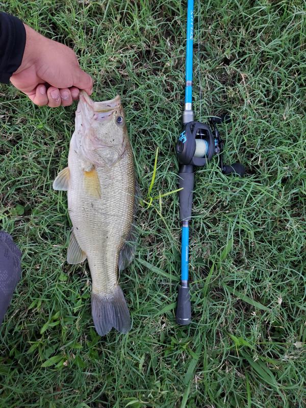 shimano cellus fishing rods Sellus Spinning Rod SUS70MLB Fitted with Aluminum Oxide guides Shimano Sellus Spinning Rod 5'6"