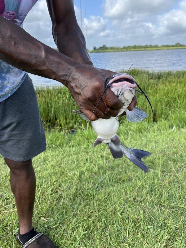 Eagle Claw Single Hooks | Academy