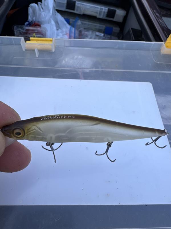 Megabass VISION ONETEN Jerkbait | Free Shipping at Academy