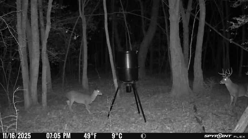 thumbnail image 2 of 30-Gallon Deer Feeder With Digital Timer – Quick Set Gravity Feeder For Wild Game 2 of 3