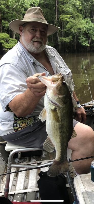 Daiwa Laguna Freshwater/Saltwater Casting Rod | Academy