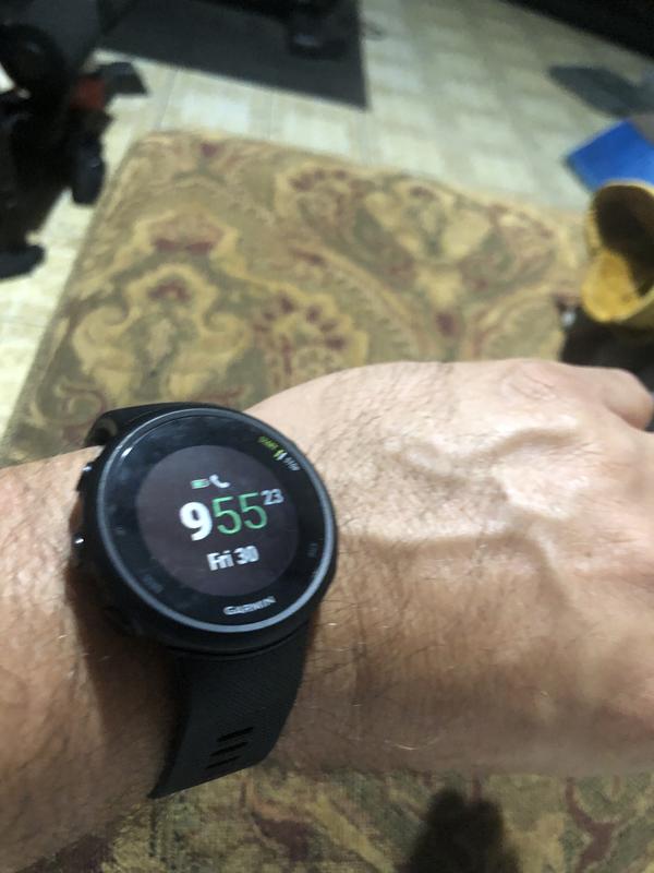 Gps Garmin Forerunner 45 L Test Wrist Garmin Forerunner 45 L